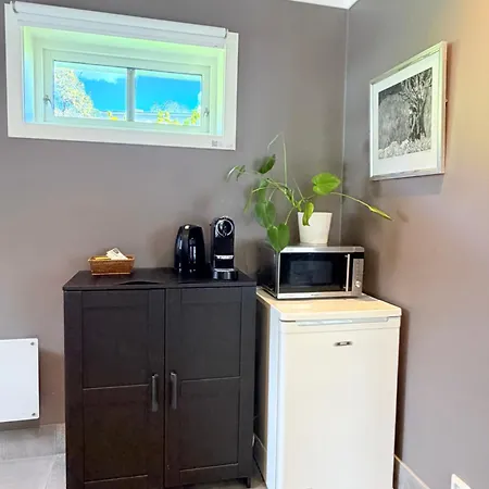 דירה Charming Guesthouse Near City Centre - Free Parking, Ev Char *